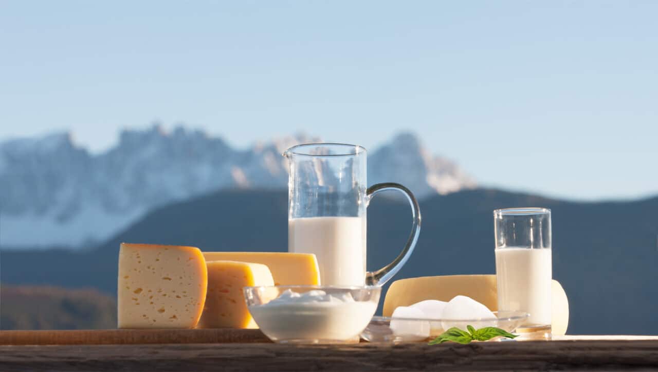 Federazione Latterie Alto Adige, la cooperativa che garantisce latticini di alta qualità