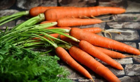Addio carote, sono nelle verdure a foglia verde le sostanze che proteggono gli occhi diminuiscono il rischio dal 20 al 50%
