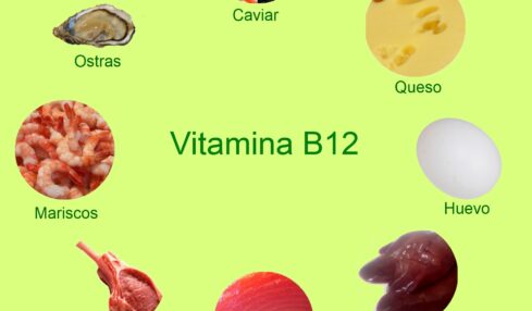 Alla ricerca della Vitamina B12: ecco dove trovare la ‘vitamina buona’ che ci aiuta a invecchiare bene