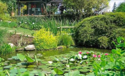Orti Botanici della Lombardia: una vera full immersion nella natura... stando in città!