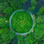 Ricerca “Green Conversation” sulle start up dedicate alla sostenibilità e alla salvaguardia del pianeta