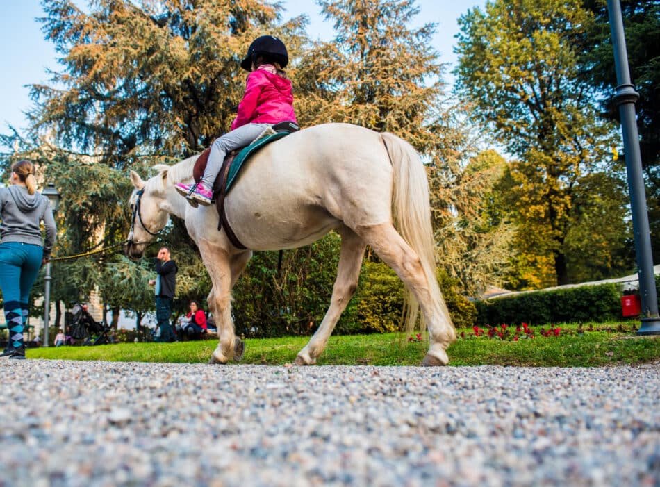 A Milano tornano le domeniche per le famiglie all'Ippodromo Snai La Maura