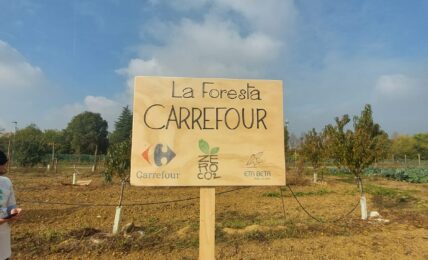 Il progetto Foresta Carrefour