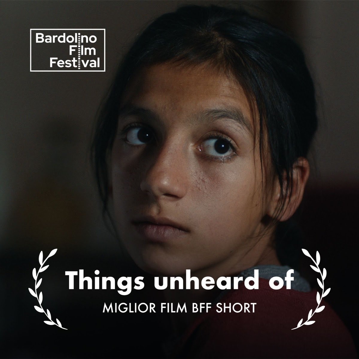 Bardolino Film Festival (BFF): bilancio positivo