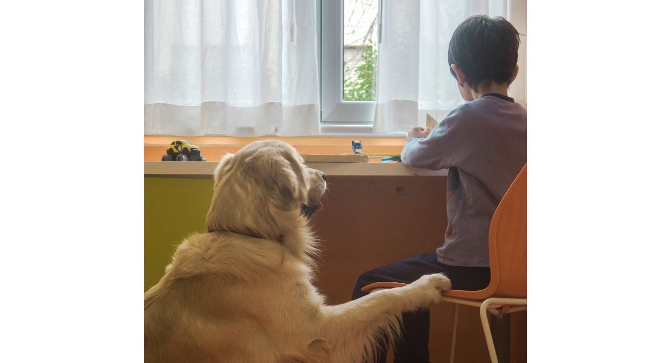 L'impegno di Purina nella pet Therapy, per migliorare le vite dei piccoli pazienti del Fatebenefratelli