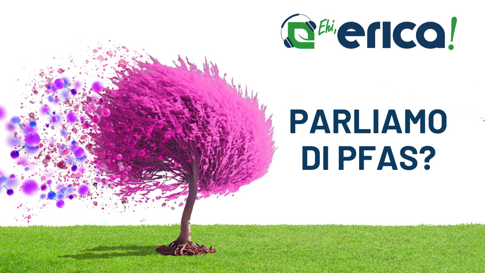 Società Erica, il secondo Podcast sui PFAS