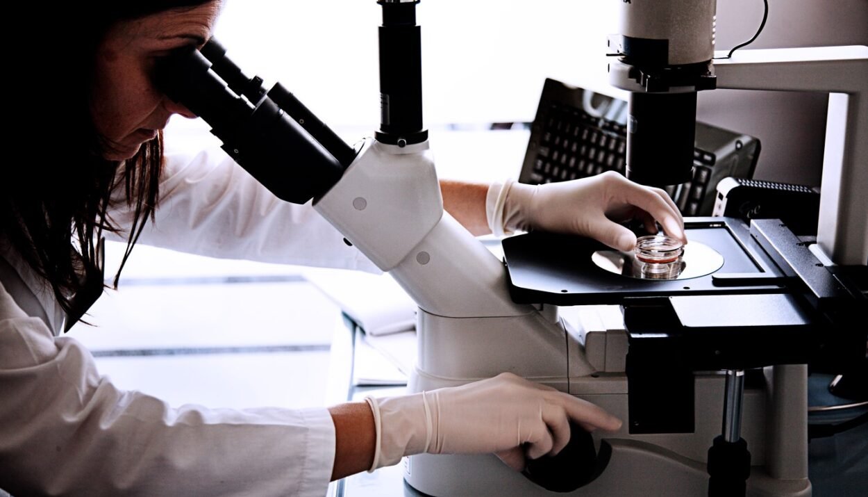 Cellule staminali cordonali: l'importanza di questo patrimonio