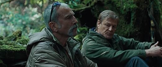 Anemone nelle sale italiane dal 6 novembre