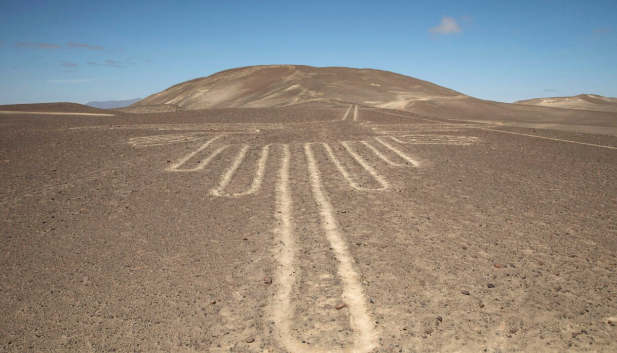Lady Nazca - La signora delle linee