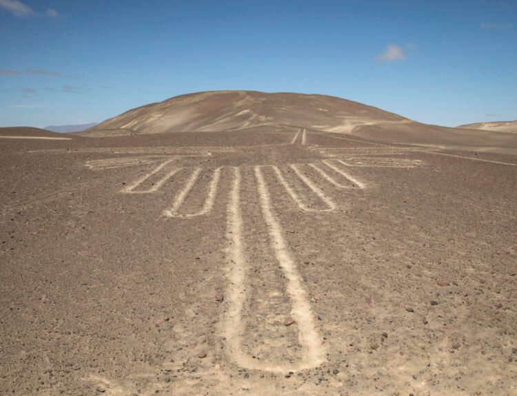 Lady Nazca - La signora delle linee