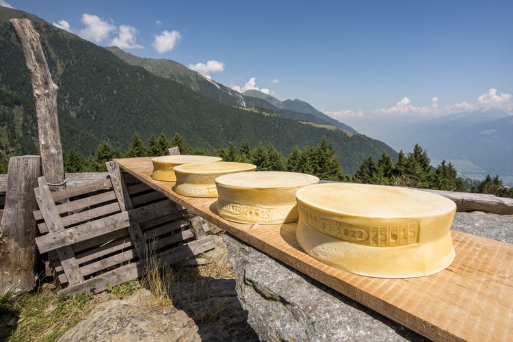 Una montagna di formaggi: i DOP Bitto e Valtellina Casera si raccontano in un ebook e podcast gratuiti