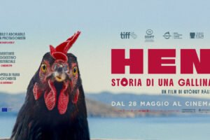 Han – Storia di una gallina: un film originale e significativo