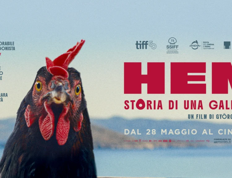 Han – Storia di una gallina: un film originale e significativo