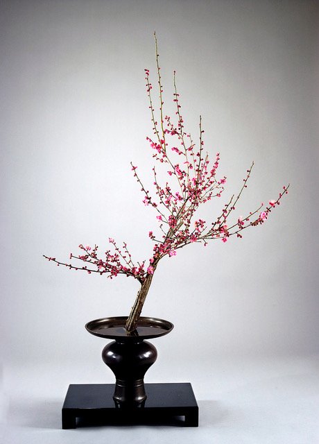 Ikebana_Stile Seika