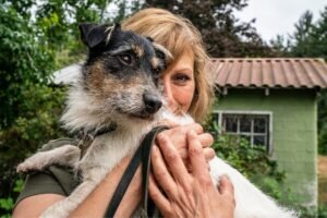 lenews Giornata Mondiale del Cane