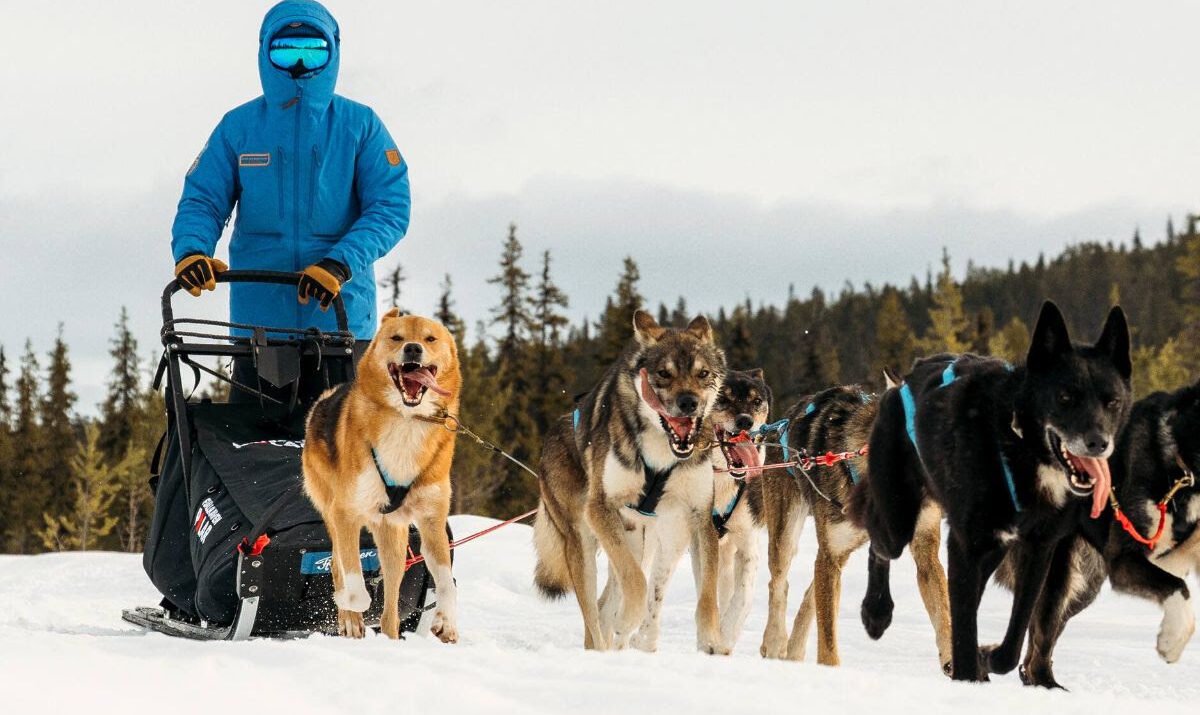 lenews Fjällräven Polar 2027