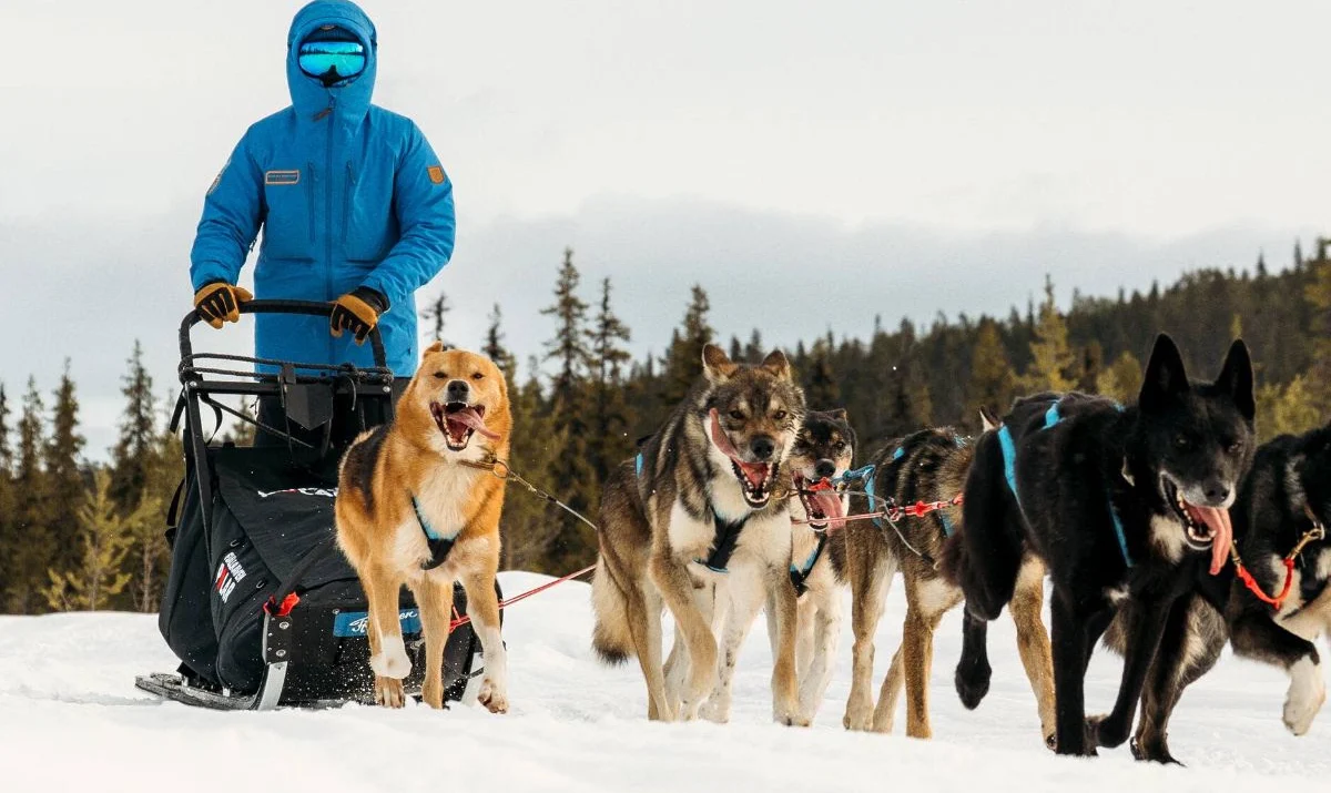 lenews Fjällräven Polar 2027