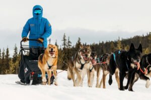 lenews Fjällräven Polar 2027
