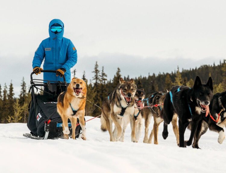 lenews Fjällräven Polar 2027