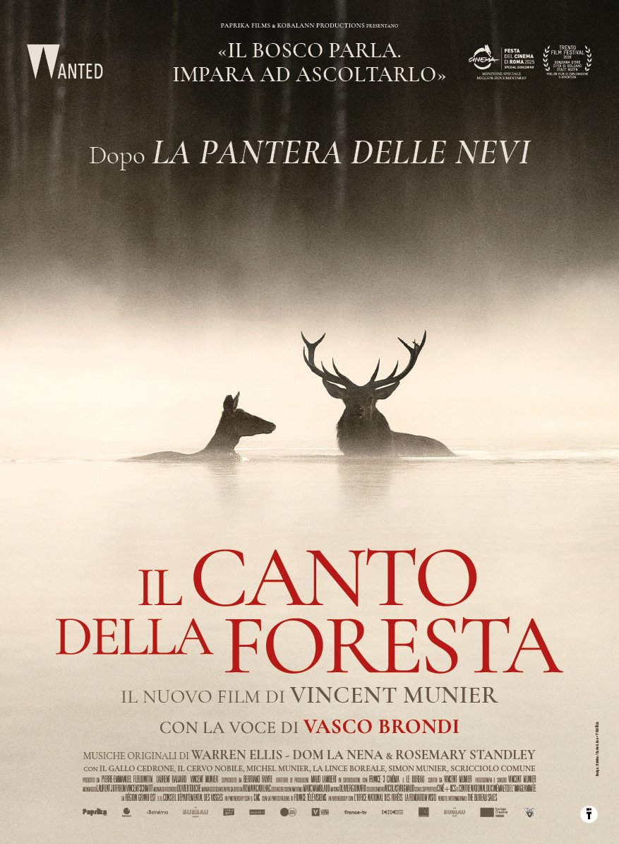 wanted il canto della foresta al cinema dal 12 novembre da Lenews.info wanted il canto della foresta al cinema dal 12 novembre